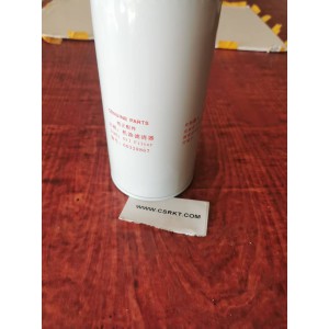 1000424655 High Quality Engineering Machinery Engine Parts Oil Filter 1000424655 P553771 46080160 240611049 60328867